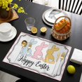 thumbnail image 3 of Happy Easter Placemats Set of 8, Cute Lovely Colorful Rabbits Silhouette Pink Checkered Placemats for Dining Table, Place Mats for Kitchen Tabletop, Waterproof Wipeable Dining Table Mats Set, 3 of 9