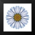 thumbnail image 2 of Bookbinder, David 20x20 Black Modern Framed Museum Art Print Titled - Kaleidoscope White Daisy, 2 of 5