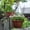 White, variant on Artificial Violet Pansy for Outdoor Home and Garden Decor, Realistic Fake Flower for Porch and Planter, UV Resistant Plastic Plant for Spring, Purple