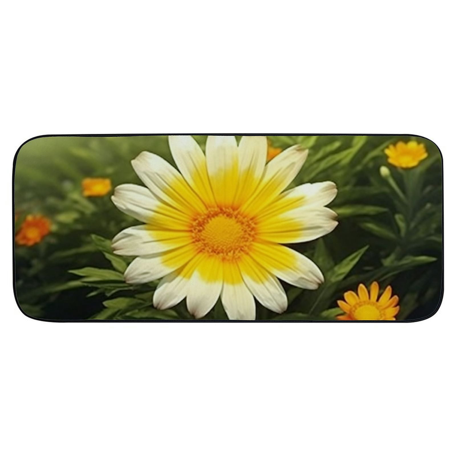 PHYHOO Doormat Floor Rug/Mat - Harsh Aster Family Garden Flowers ﻿Decorative Door Mat, Door Mat with Non-Slip Rubber Backing, Easy Cleaning, Traps Dirt, Rug for Entry, Patio, Garage