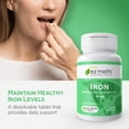 thumbnail image 7 of EZ Melts Iron - Supplement for Daily Energy & Iron Support - With Vitamin C - No Artificial Flavors - Non-GMO & Vegan - Zesty Orange - 90 Dissolvable Tablets (90 Servings), 7 of 7