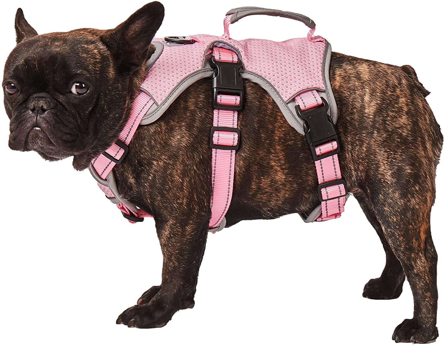No Escape Dog Harness, Escape Proof Harness, Fully Reflective Harness