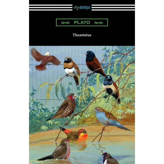 Theaetetus (Paperback)