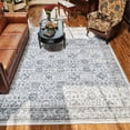 thumbnail image 3 of Rugs for Living Room Area Rug Carpet x Vintage Living Room Rugs for Bedrooms Machine Washable Rug for Dining Room Nusery Floral Distressed Grey Rug, 3 of 6