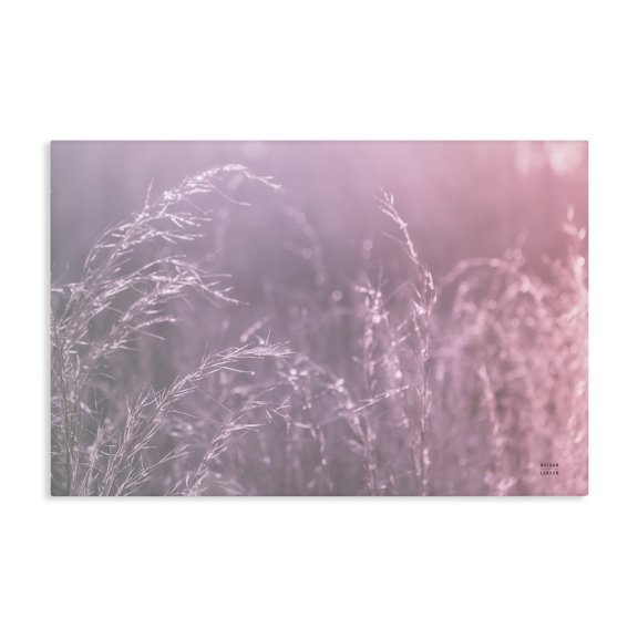 Stupell Industries Pink Meadow at Dawn Canvas Wall Art, design by Nathan Larson