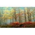 thumbnail image 2 of Van de Goor, Lars 32x21 White Modern Wood Framed Museum Art Print Titled - Beeches In, 2 of 4
