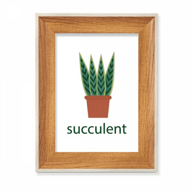 Cactus Potted Succulents Green Desktop Wooden Photo Frame Display Picture Art Painting Multiple Sets