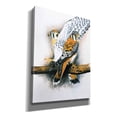 thumbnail image 2 of Epic Graffiti 'Elegant Raptor' by Barbara Keith, Canvas Wall Art, 12"x16", 2 of 8
