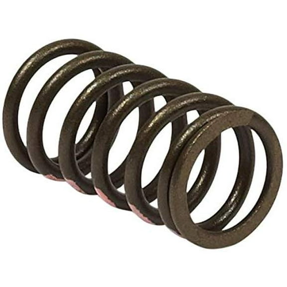Briggs & Stratton Valve Spring | 845589