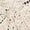 Beige, variant on 1PC Summer Bohemia Hollow Embroidered Halterneck Backless Sleeveless Knitted Camisole For Women 2026