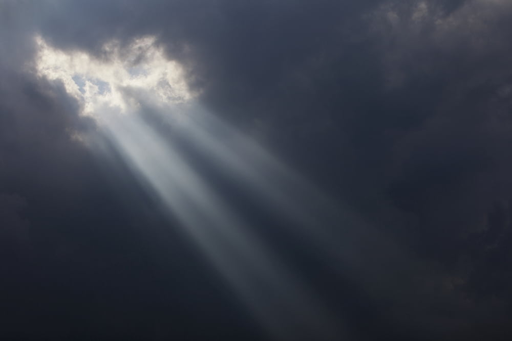 Sunlight Breaking T