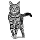 thumbnail image 3 of Royal Canin Weight Control Feline 1.5 Kg Original mas Pelota Spiny Caucho, 3 of 3