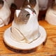 thumbnail image 4 of Adornos de Estatua de Animal, Adornos Tallados en Madera, Figuras de , Miniescultura de Tallada Artesanal, Adorno para el Hogar, 4 of 5