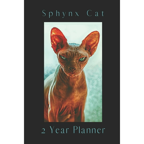 Sphynx Cat 2 Year Planner Sphynx Cat 2 Year Weekly Planner for Cat