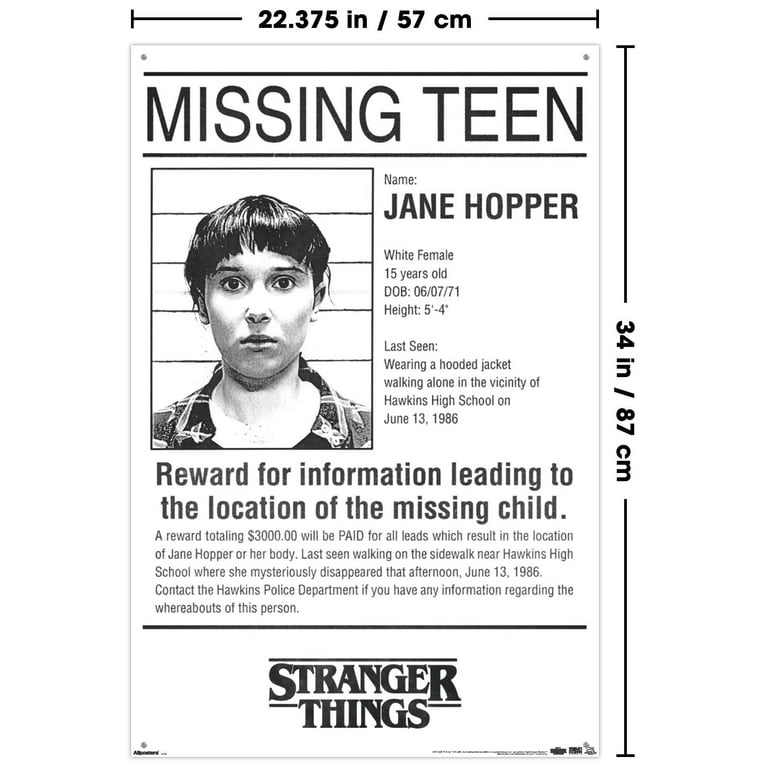 Netflix Stranger Things: Season 5 (2025) - Missing Teen One Sheet