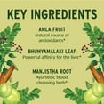 thumbnail image 2 of Banyan Botanicals Total Body Cleanse – Organic Cleanse Supplement with Amla & Manjistha – Supports Healthy Digestion, Detox, & Natural Cleansing* – 90 Tablets – Non GMO Sustainably Sourced Vegan, 2 of 6