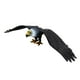 thumbnail image 1 of Modelo de águila simulada para niños, juguetes para decoración del hogar, escena de utilería, estatuilla de Animal, estatua de águila, Animal, pájaro, L negro, 1 of 10