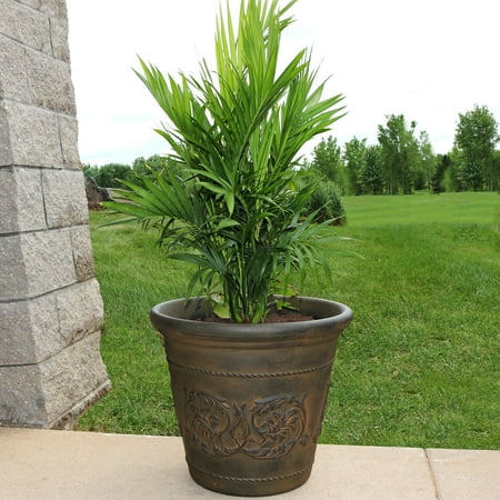 Extra Large Garden Plant Pots Sunnydaze Arabella Flower Pot Planter, Outdoor/Indoor Extra-Durable Double-Walled Polyresin with Fade-Resistant Sable Finish, Single, Large 20-Inch Diameter ()