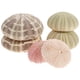 thumbnail image 1 of 6 piezas de decoración de erizos de mar para macetas de plantas aéreas, decoración de mesa con erizos de mar, decoración para peceras, 1 of 8