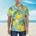 thumbnail image 4 of Easygdp Lemon Men's Hawaiian Shirts Print Lapel Short Sleeve for Beach, vacation, party, casual occasions - XX-Large, 4 of 9