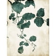 thumbnail image 3 of Villa, Milli 15x18 Black Modern Framed Museum Art Print Titled - Hanging Leaves 4, 3 of 5