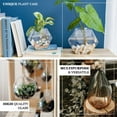 thumbnail image 4 of Efavormart 3 Pack Trapezoid Shaped Glass Wall Vase Hanging Glass Terrarium Indoor Wall Planters, 4 of 6