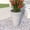 Grey, variant on LeisureMod Pebble Fiberstone and MGO Clay Planter, Mid-Century Modern Tapered Round Planter Pot for Indoor and Outdoor (White, 28 Inch)