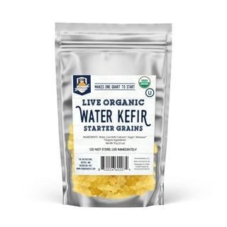 QUARTER POUND Original Water Kefir Grains Exclusively from Florida Sun  Kefir with 12 Brewing Bags