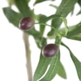 thumbnail image 3 of A&B Home 42" Artificial Olive Tree with Cement Pot, 3 of 6