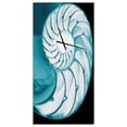 thumbnail image 2 of DesignArt Chambered Nautilus Shell Large Wall Clock, 2 of 3