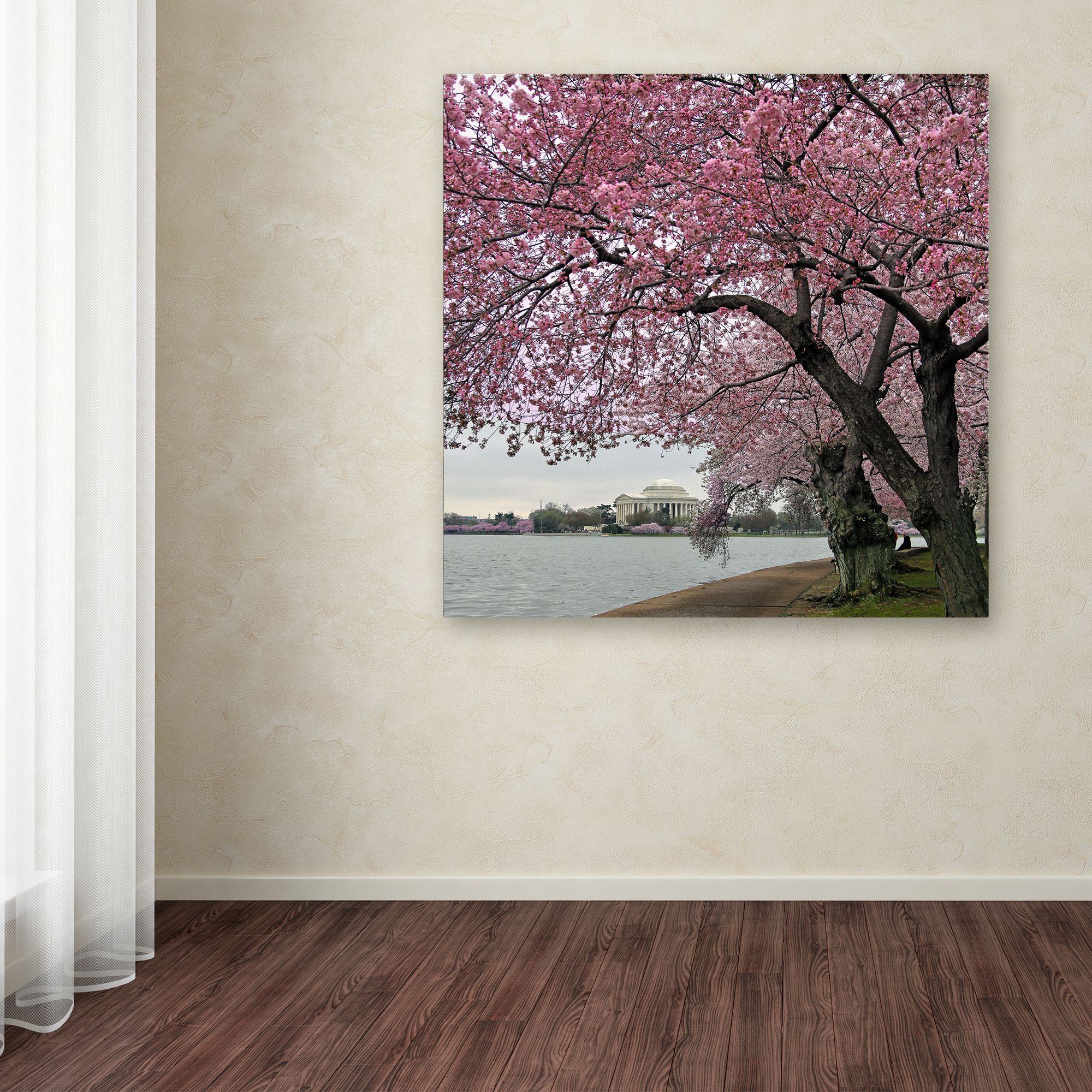 Trademark Fine Art "Tidal Basin Blossoms" Canvas Art by CATeyes