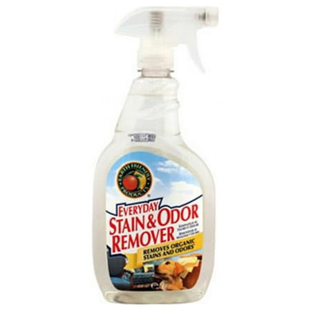 Earth Friendly 22 fl oz Stain And Odor Remover Spray - Case Of 6