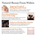 thumbnail image 6 of The Genius Brand Genius Beauty - Natural Beauty Vitamins for Hair, Nail & Skin Support - Healthy Glow Formula - Supports Joints & Immune Function - 60 Capsules, 6 of 9