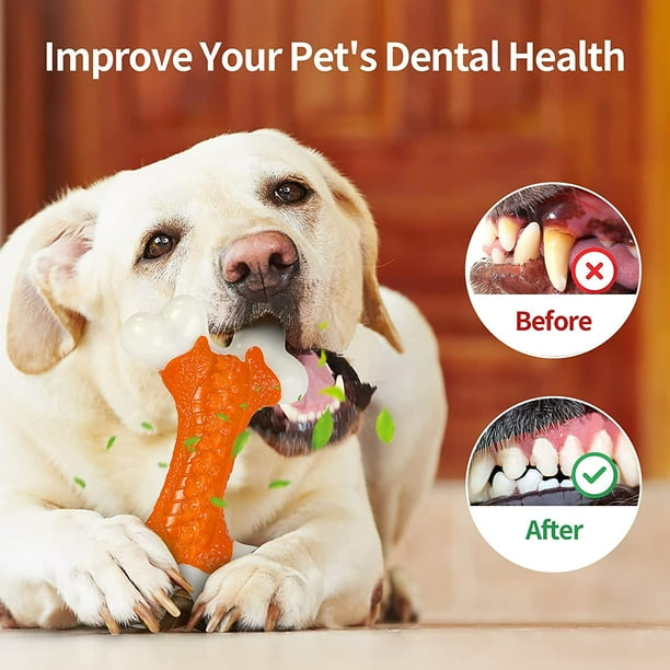 Dog toys for destructive dogs online