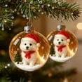 thumbnail image 6 of Summercome 2025 Animals Cute Puppy Collection Crystal Glass Ornament - Personalized Christmas Cats Ornaments, Handcrafted Animals Christmas Tree Ornaments, Clear Plastic Xmas Balls, 6 of 6