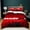 Color3, variant on 3 Pieces DP Bedding Set Ultra Soft Lightweight Duvet Cover Set All Season Comforter Set with Zipper