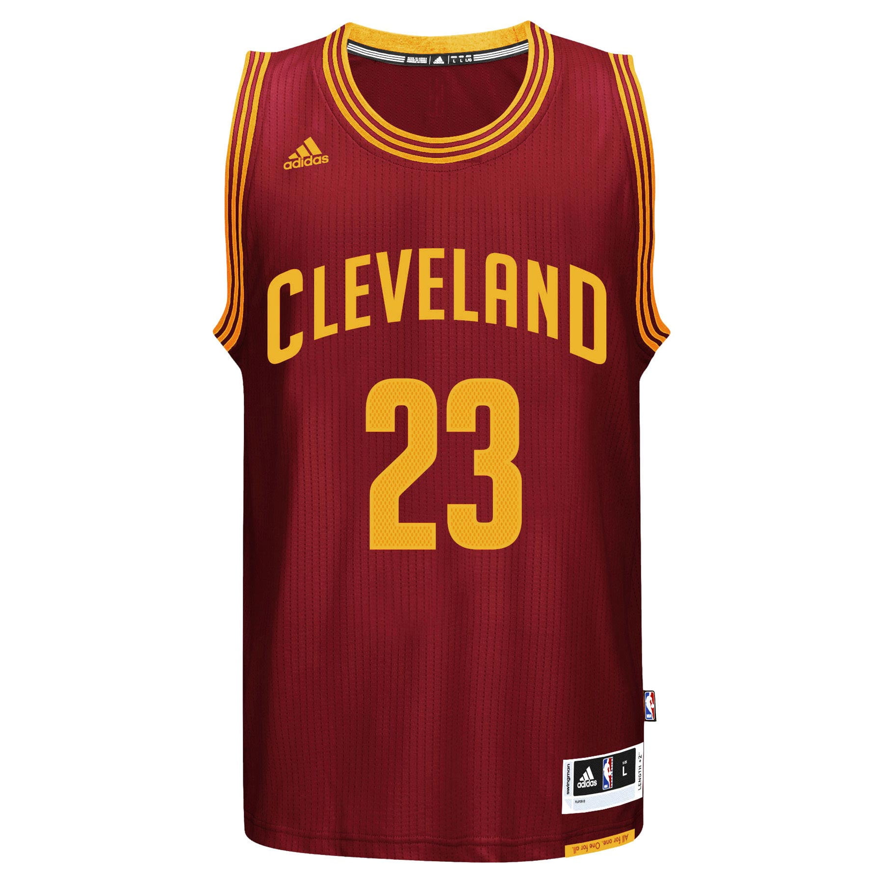 lebron james pride swingman jersey