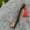 D, variant on Kitchen Tools - Kitchen Utensils Gadgets Wooden Axe Handle Spare Axe Handle Red Rope Luck Axe Handle