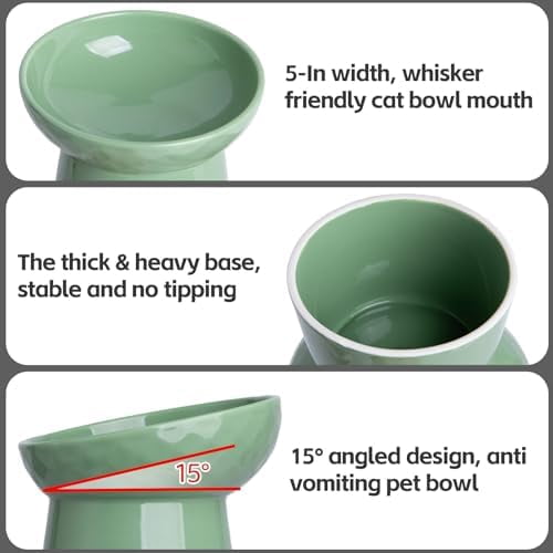 Raised Cat Bowl, Elevated Cat Food Bowls with Tilted Angle, Stress Free, Anti Vomiting, Ceramic Water Bowl for Cats Small Dogs Feeding Dish, 8 Ounces (Green-1)