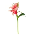 thumbnail image 1 of Ramo Artificial Mainstays 38.1 cm Tallo de Lirio Rosa, 1 of 4