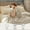 16-Natural, variant on U by Bedsure Sage Green Throw Blanket for Couch, Super Soft Cute Small Fleece Throws for Girls,50x60 inches, Wider Striped Design