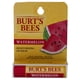 thumbnail image 1 of Bálsamo labial Burts Bees Burts Bees Watermelon Moisturizer Lip Balm Blister Bálsamo labial Unisex 0.15oz, 1 of 1
