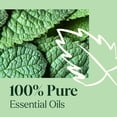 thumbnail image 5 of Plant Therapy Home Sparkling Peppermint Laundry Essential Oil Blend 10 mL (1/3 oz) Pure, Undiluted, Wash Fragrance and Scent Enhancer, 5 of 9