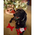thumbnail image 2 of Dog Christmas Toys Pack, 2 of 2
