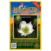 Everwilde Farms - 300 Thimbleweed Native Wildflower Seeds - Gold Vault Seed Packet