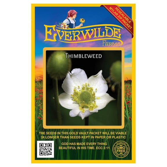 Everwilde Farms - 300 Thimbleweed Native Wildflower Seeds - Gold Vault Seed Packet