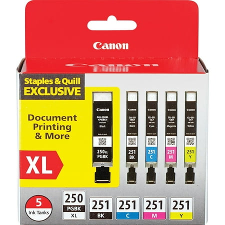 Canon - 250 XL/CLI-251 5-Pack Special Edition Ink Cartridges - Black/Cyan/Magenta/Yellow