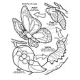 thumbnail image 6 of Butterflies and Birds Really Big Coloring Book (12" x 18"), 6 of 9
