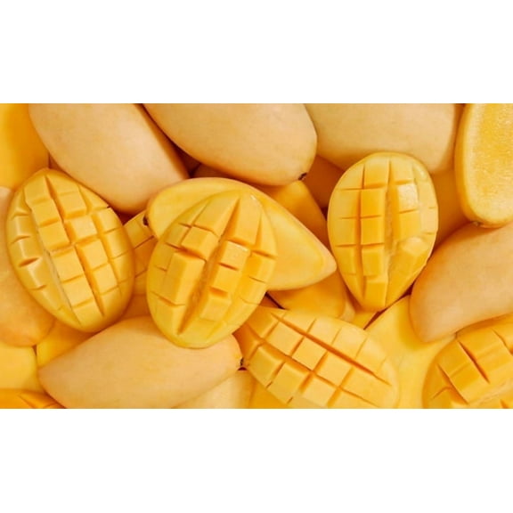 Cat Saigon Thai Mango TREE grafted shipped in 3 gallons pot to free all states. 1-2 years to fruit.