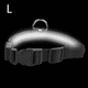 thumbnail image 2 of Collar de perro LED recargable por USB – Collar iluminado brillante y de alta visibilidad para caminar de noche con mascotas, 2 of 5